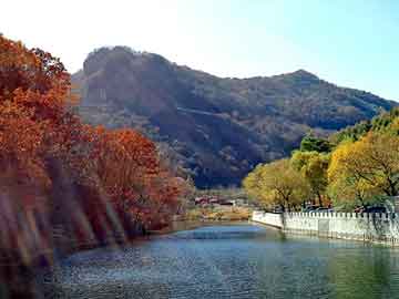 新澳天天开奖资料大全旅游团，东阳别墅设计公司